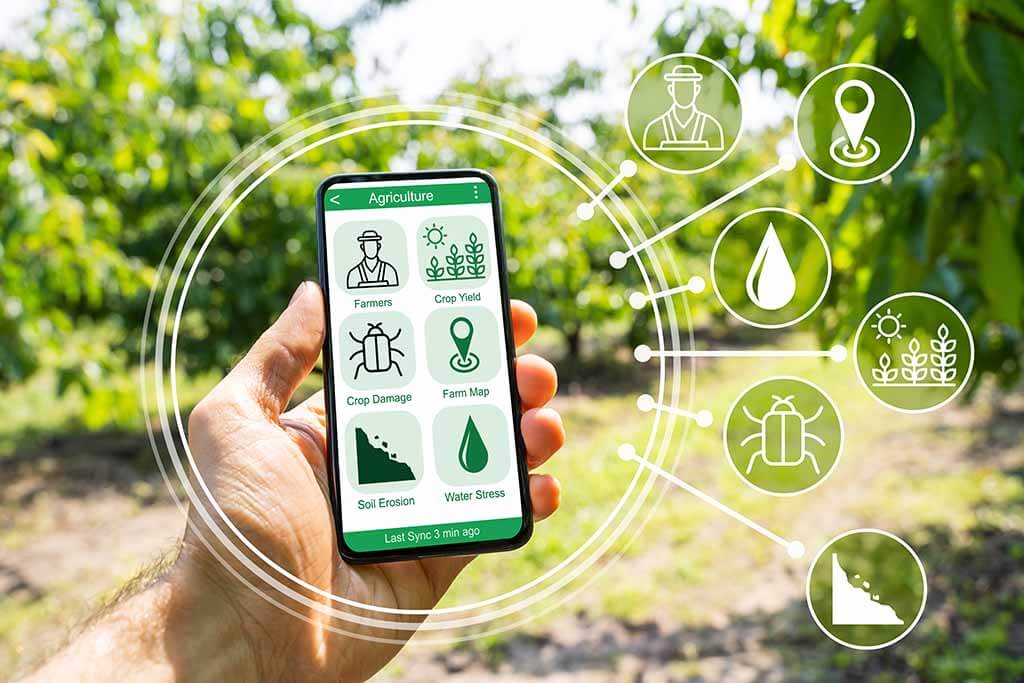 Smartphone zeigt Landwirtschaftsdaten