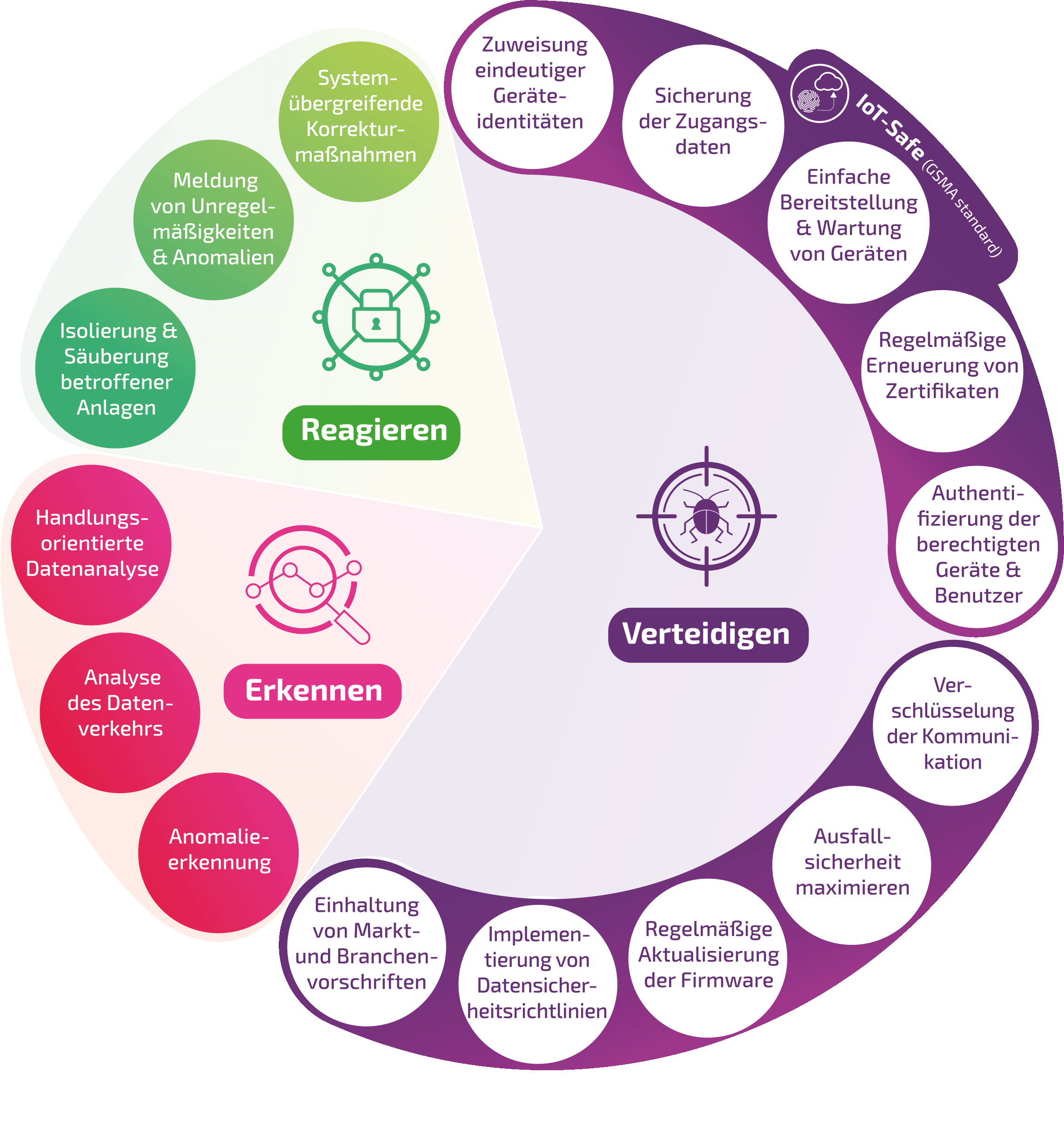IoT-Security Framework Conexa
